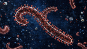 Microscopic view of Ebola virus particles, medical illustration.